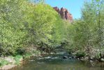 PICTURES/Red Rock Crossing - Crescent Moon Picnic Area/t_Formation & Oak Creek3.JPG